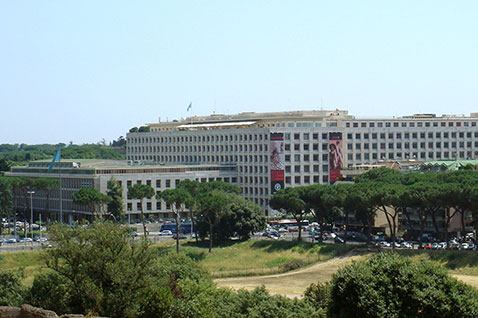 Tasse su conti correnti e case all’estero per dipendente di Organizzazione Internazionale